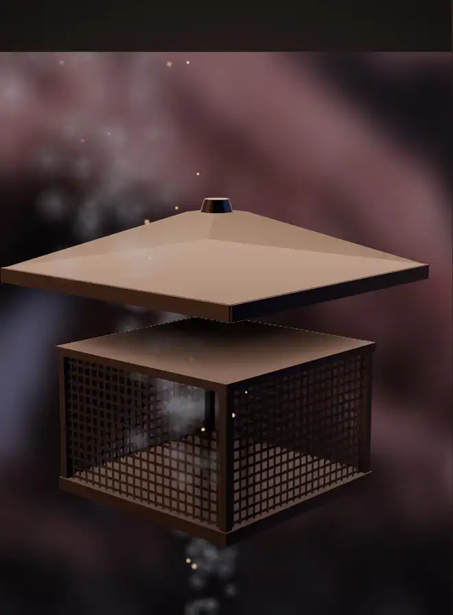 The cap of the chimney illustration, a screened box under a lifted roof